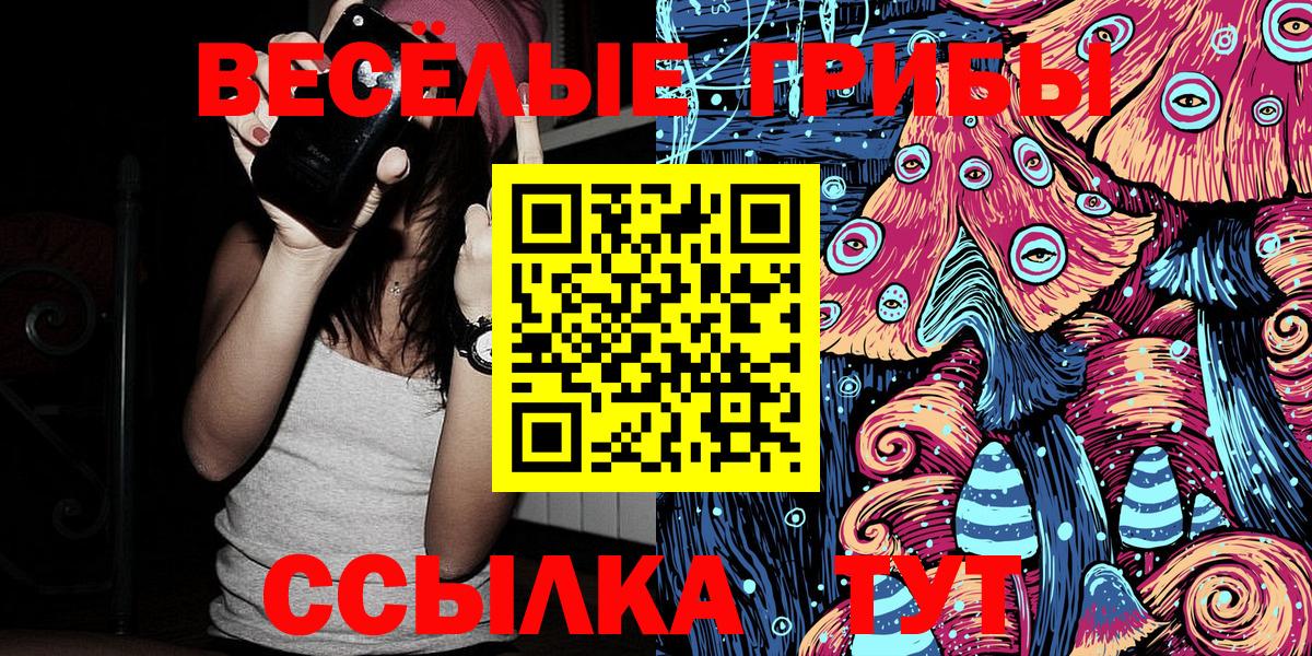 Псилоцибиновые грибы Psilocybe Горно-Алтайск